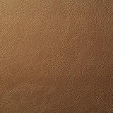 Pindler HOWDY GOLD Fabric