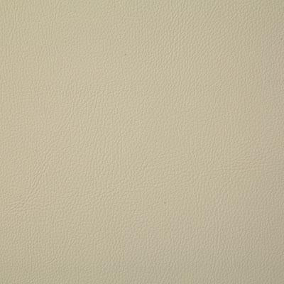Pindler HOWDY TUSK Fabric