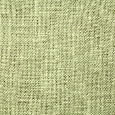 Pindler JEFFERSON ALOE Fabric