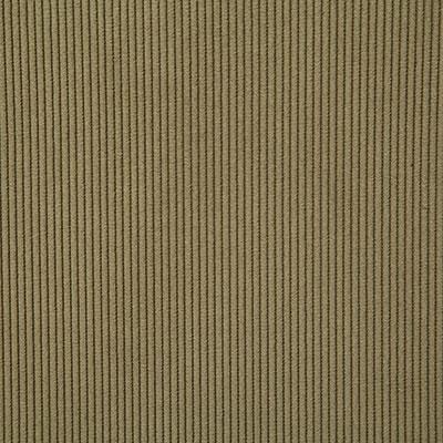 Pindler JONES MOSS Fabric