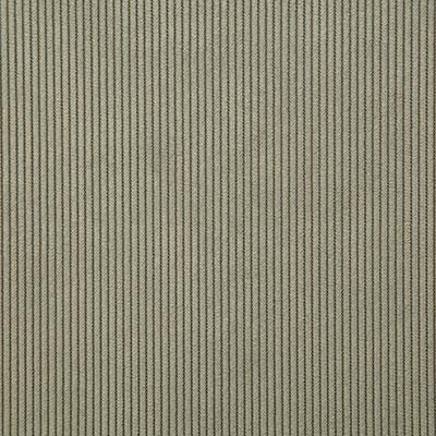 Pindler JONES FERN Fabric