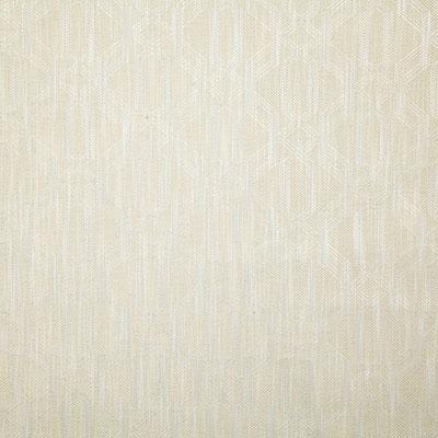 Pindler KINNEY SHELL Fabric