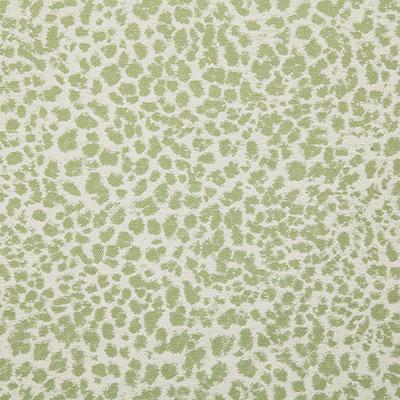Pindler KITA MEADOW Fabric