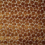 Pindler LANKA AMBER Fabric