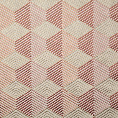Pindler LAVISH CLAY Fabric