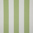 Pindler LEEWARD CITRUS Fabric