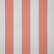 Pindler LEEWARD CORAL Fabric
