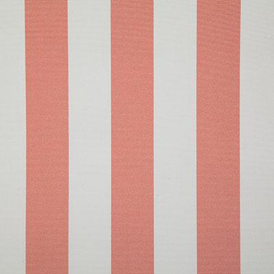Pindler LEEWARD CORAL Fabric