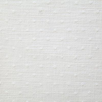 Pindler NELMES SNOW Fabric