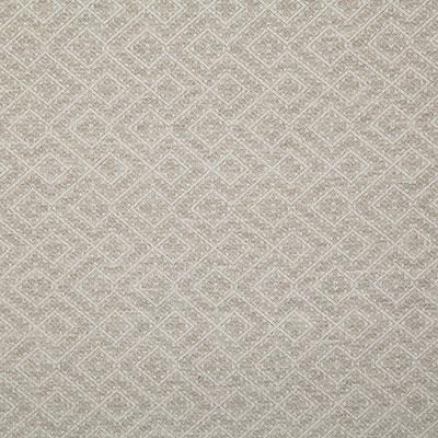 Pindler NETTA OYSTER Fabric
