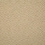 Pindler NETTA GOLDEN Fabric