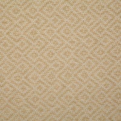 Pindler NETTA GOLDEN Fabric