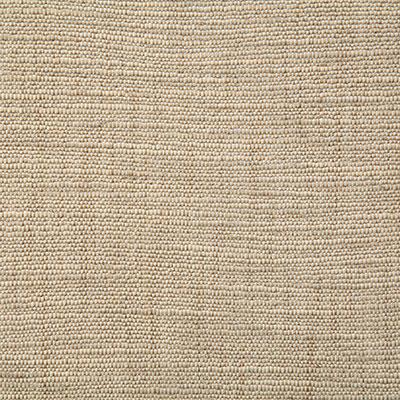 Pindler NETTLES SAND Fabric