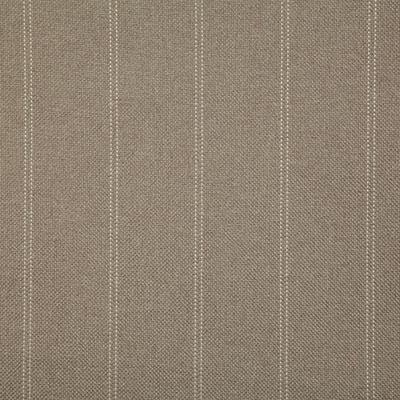 Pindler OVERLY NATURAL Fabric
