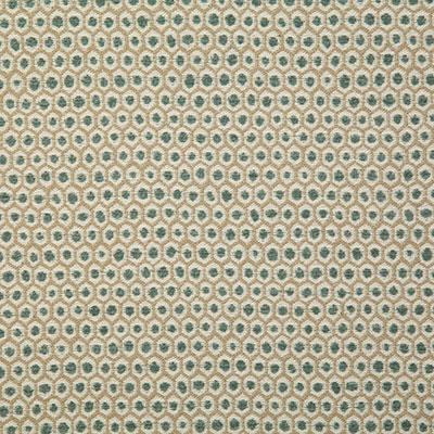 Pindler PATIO FERN Fabric