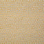 Pindler PATIO GOLDEN Fabric