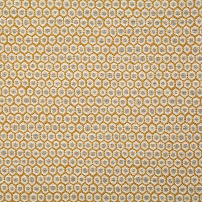 Pindler PATIO GOLDEN Fabric