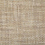 Pindler PETRUS SAND Fabric