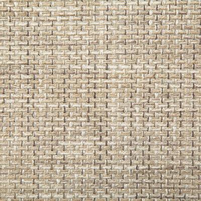 Pindler PETRUS PEBBLE Fabric