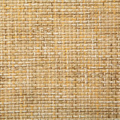 Pindler PETRUS SOLEIL Fabric