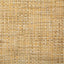 Pindler PETRUS SOLEIL Fabric