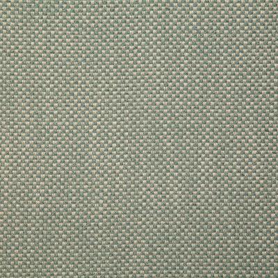 Pindler PLAZA FERN Fabric