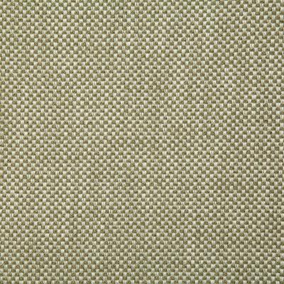Pindler PLAZA SAGE Fabric
