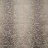 Pindler RAVALLI BEIGE Fabric