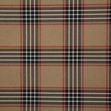 Pindler RUPERT NOIR Fabric