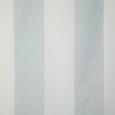 Pindler ROYCROFT SPA Fabric