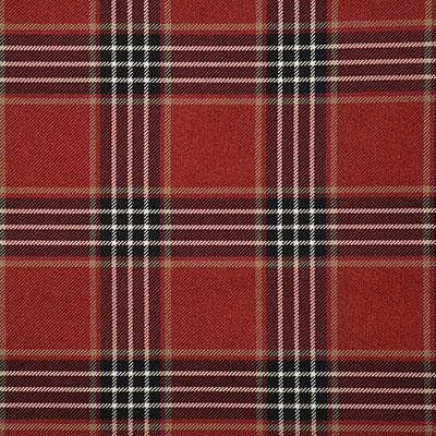 Pindler RUPERT SPICE Fabric