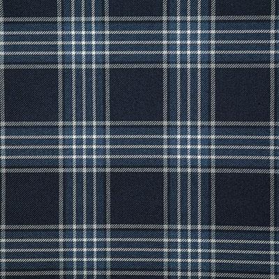 Pindler RUPERT DENIM Fabric