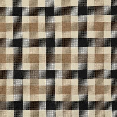 Pindler SHILOH NOIR Fabric