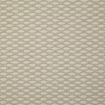 Pindler VERANDA STONE Fabric