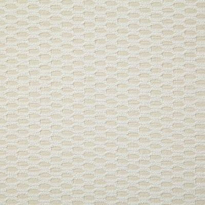 Pindler VERANDA PEARL Fabric