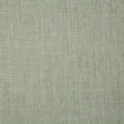 Pindler WALTER FERN Fabric