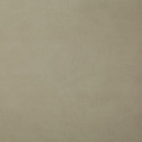 Pindler YEEHAW OYSTER Fabric