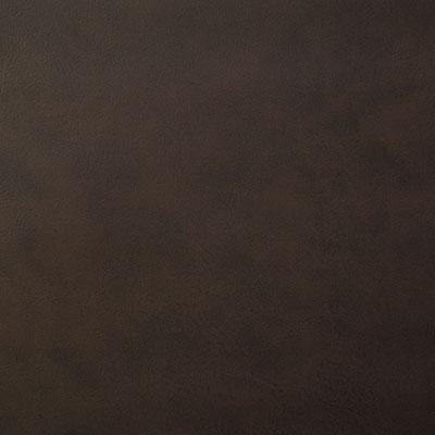 Pindler YEEHAW ESPRESSO Fabric