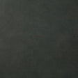 Pindler YEEHAW THUNDER Fabric