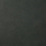 Pindler YEEHAW THUNDER Fabric