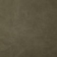 Pindler YEEHAW PUTTY Fabric
