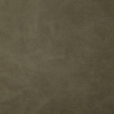 Pindler YEEHAW PUTTY Fabric