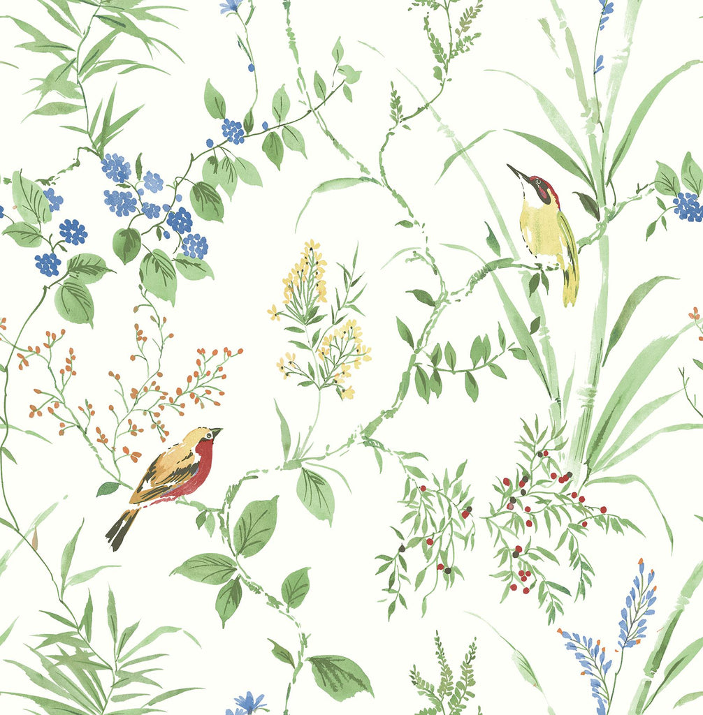Brewster Home Fashions Birds Green Wallpaper