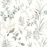Brewster Home Fashions Birds Neutral Wallpaper