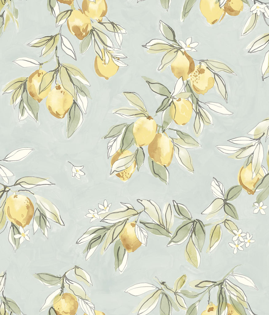 Brewster Home Fashions Fruit Aqua Wallpaper