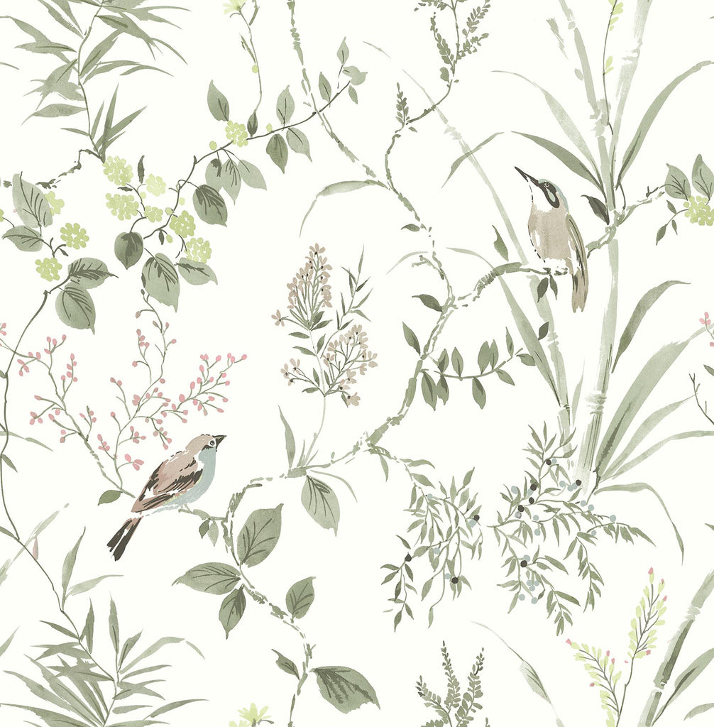 Brewster Home Fashions Birds Moss Wallpaper