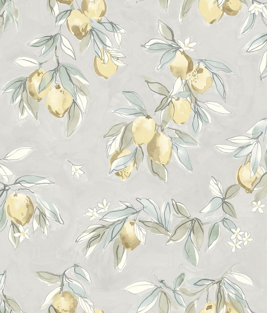 Brewster Home Fashions Fruit Grey Wallpaper