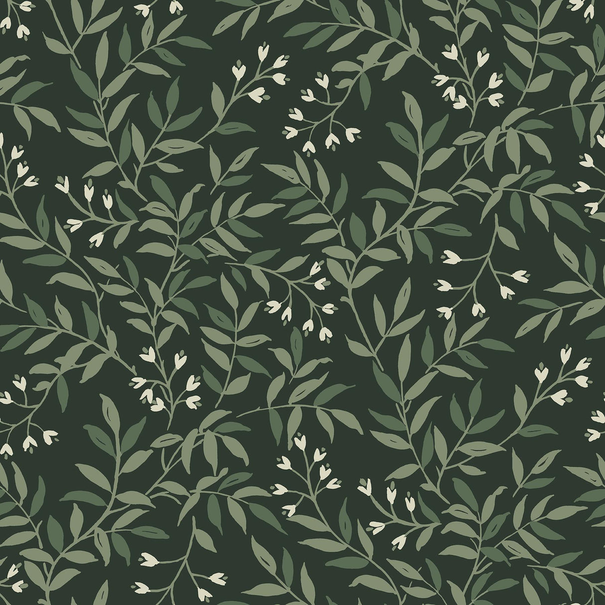 Brewster Home Fashions Vine Evergreen Wallpaper