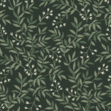 Brewster Home Fashions Vine Evergreen Wallpaper