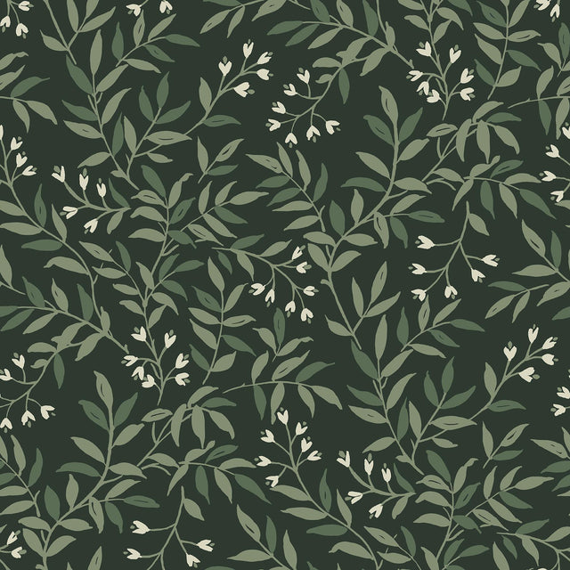 Brewster Home Fashions Vine Evergreen Wallpaper